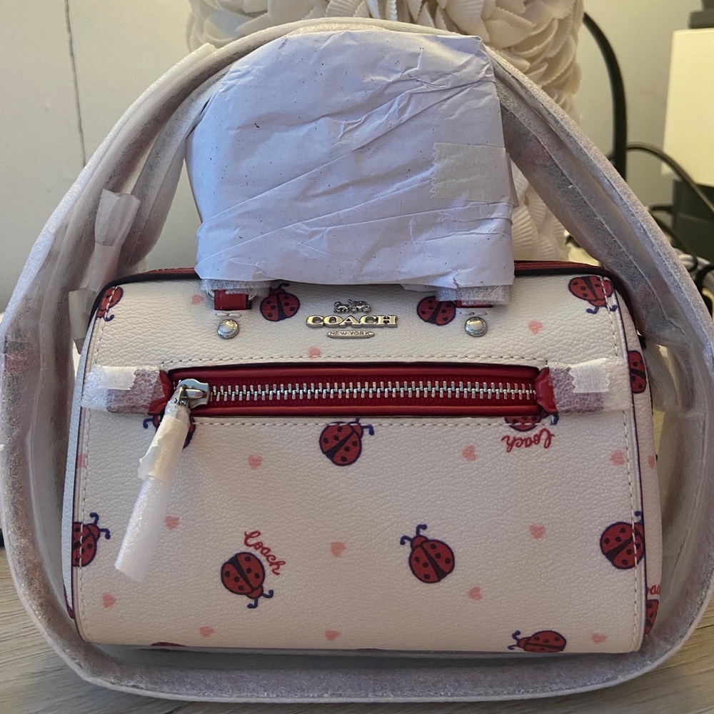 Coach ladybug mini satchel.